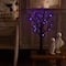 2ft. Pre-Lit Artificial Halloween Spider Twig Tree with 24 Purple LED Lights